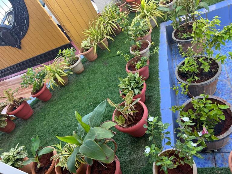 foto47