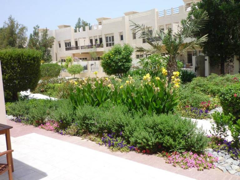 foto1