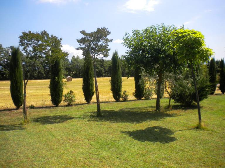 foto9