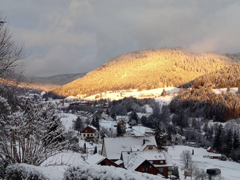 Ferienwohnung Baiersbronn