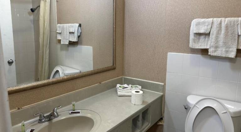 Airport Inn Flint Airport — photo 5