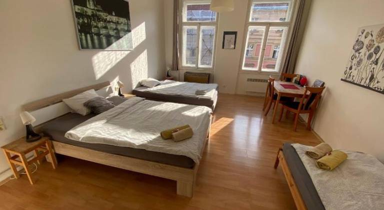 Beautiful apartment | Pet-friendly in Prague