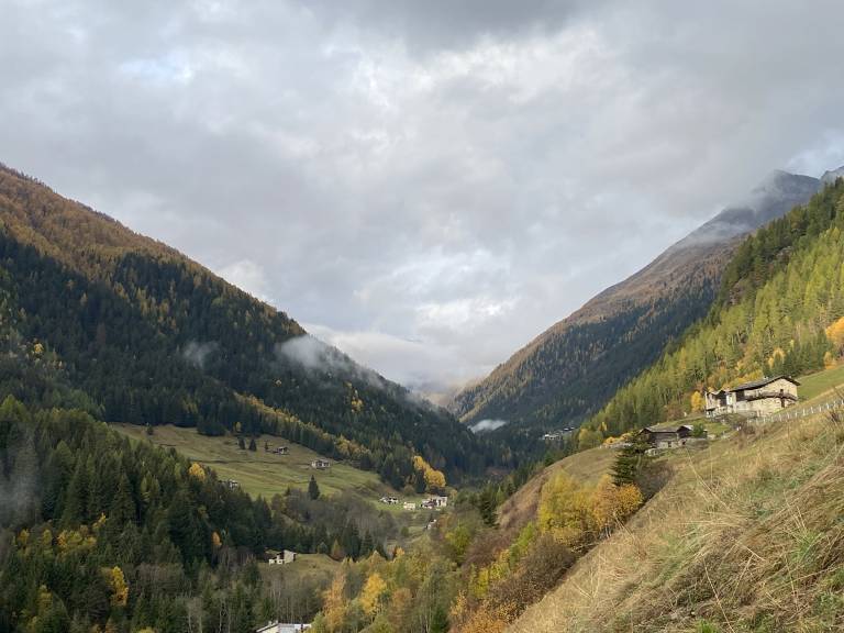 foto42