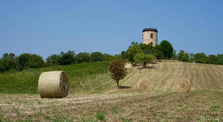 foto21