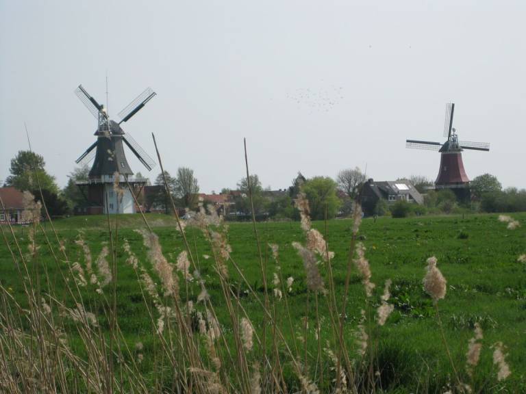 foto31
