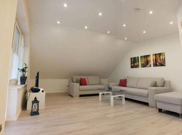 Wonderful rental apartment | Pets allowed — photo 3