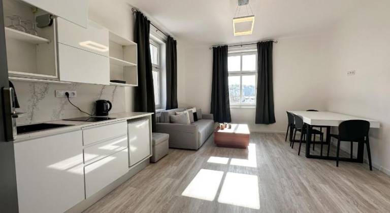 Serviced apartment with terrace — photo 2