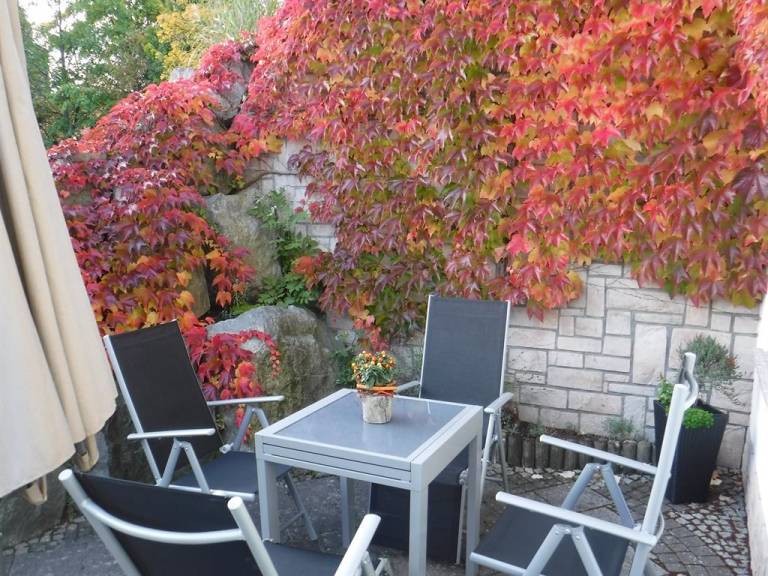 foto20