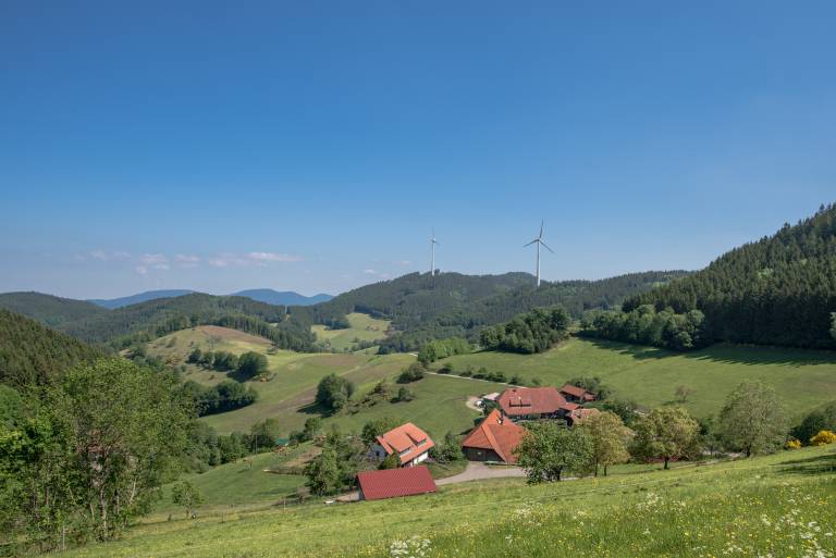foto15