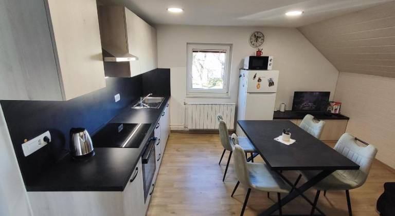 Apartment with 1 room for 3 persons in Maribor
