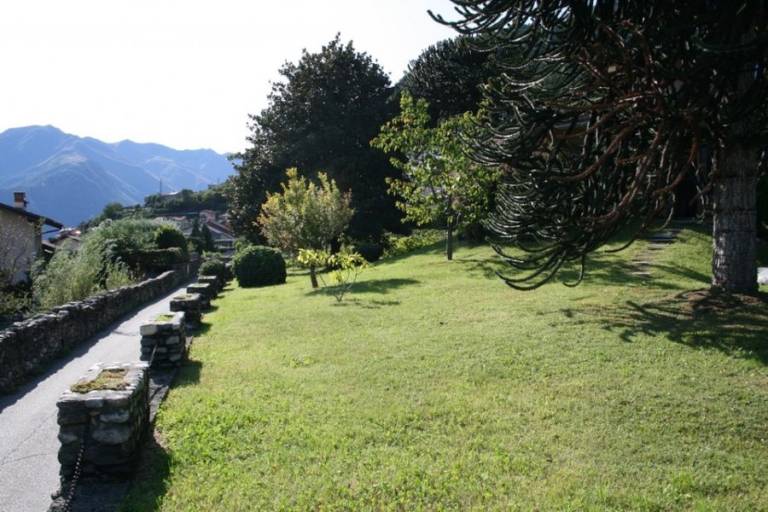 foto11