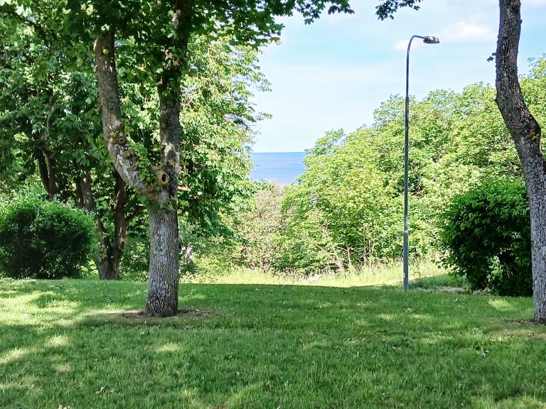 Pleasant apartment with yard & patio | Pets allowed — photo 2