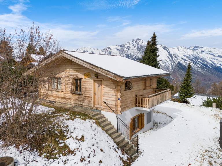 Chalet  Nendaz