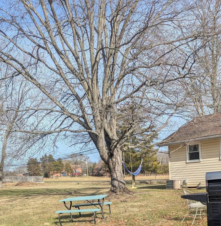 Cottage Quakertown