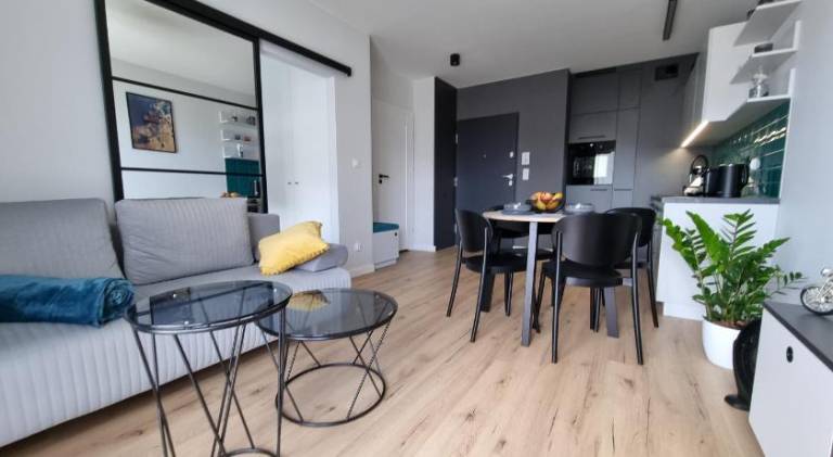 Rental apartment with 1 room for 4 persons in Torun