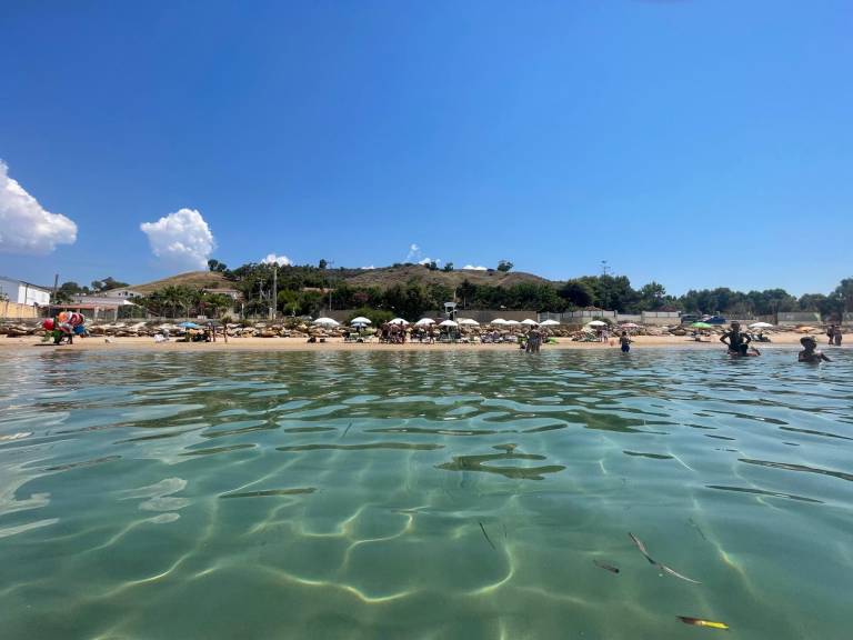 Children-friendly holiday apartment with BBQ & garden | Sea view | Next to the beach | Good for workation | Pets are welcome — photo 3