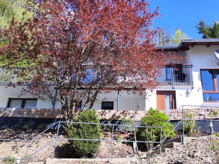 Chalet am Diemelsee — photo 4
