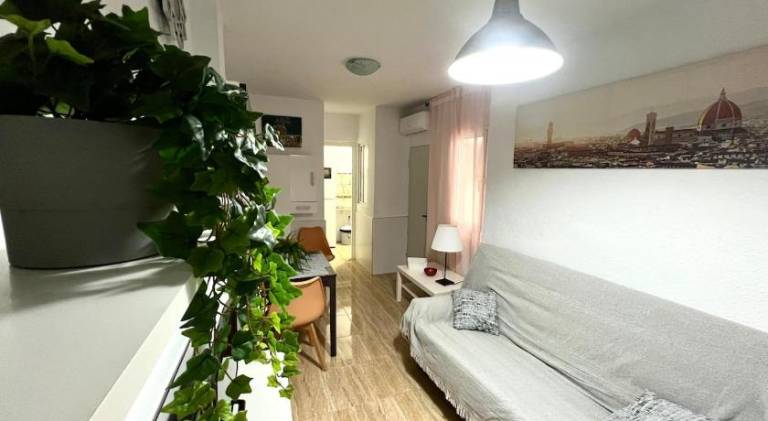 Holiday apartment | Next to Plaza de la Merced | Pets allowed in Málaga