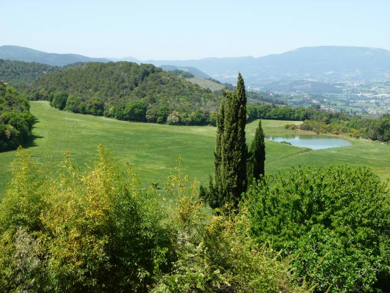 foto2