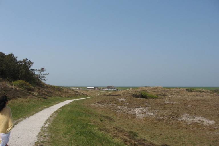 foto15