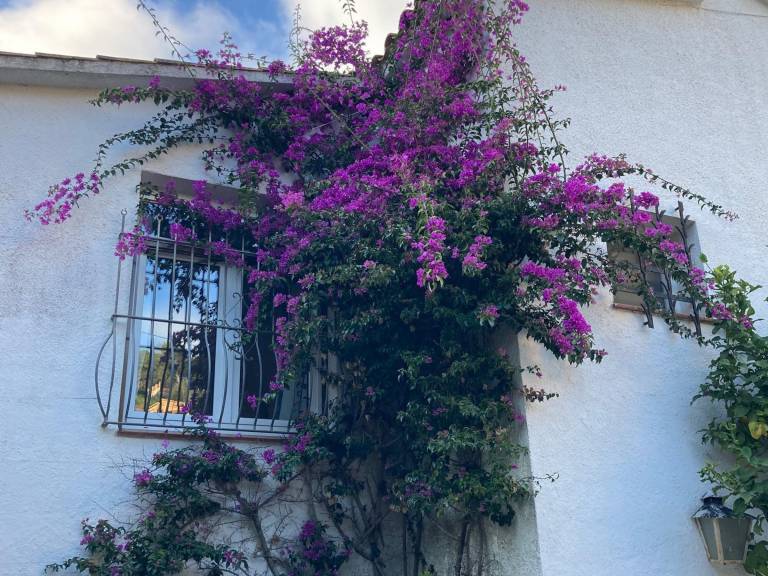 foto25