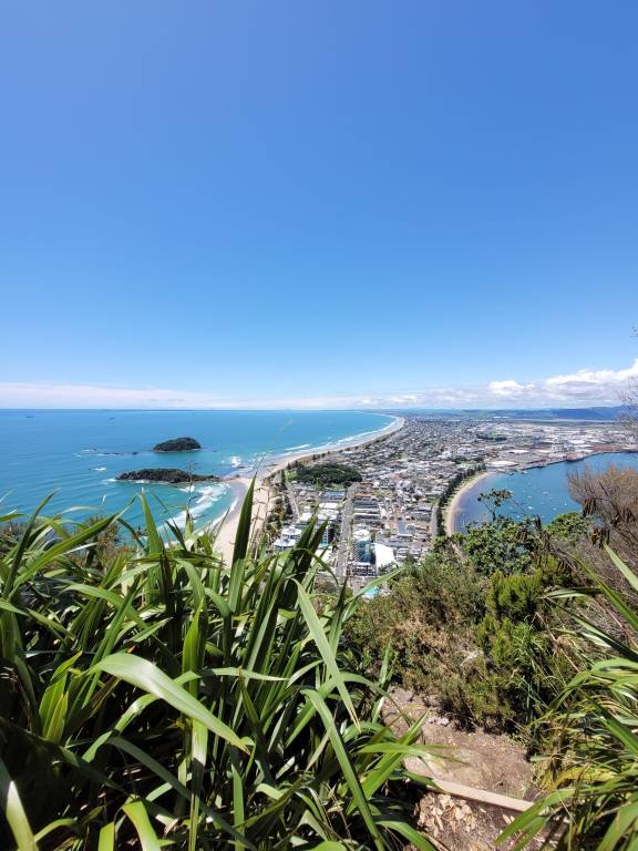 House Mount Maunganui