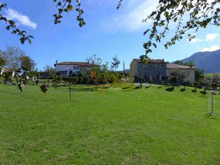 foto17