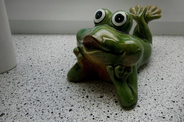 foto15