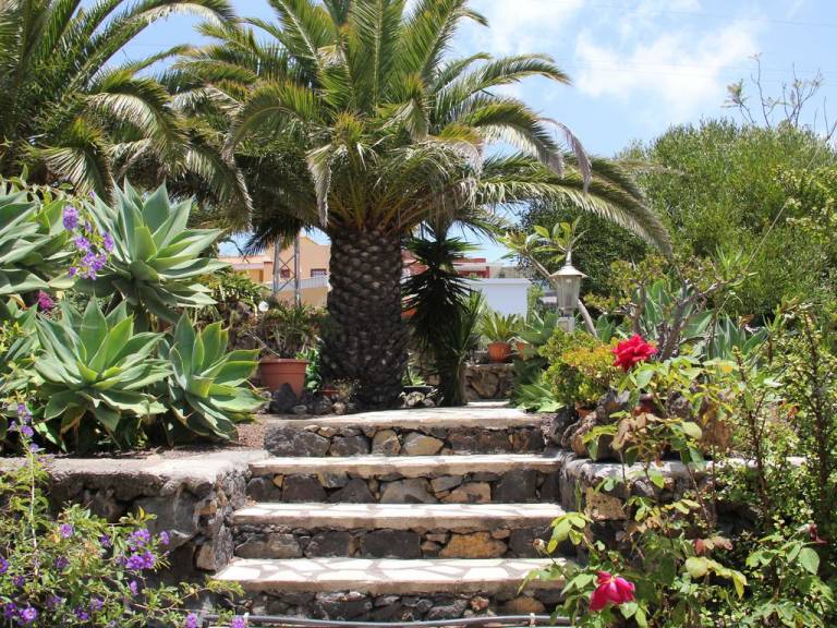 Bungalow Tazacorte