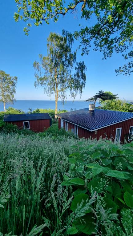Ferienhaus Hvidbjerg Strand