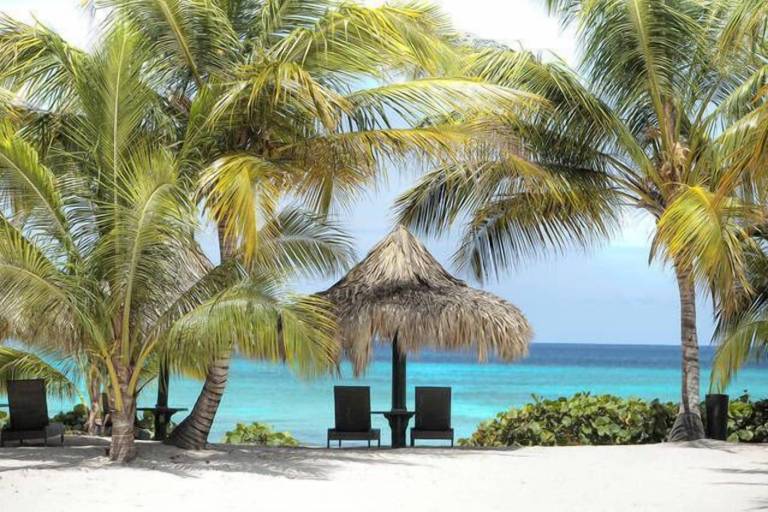 Apartamento Dominicus