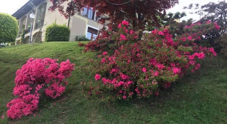 foto20