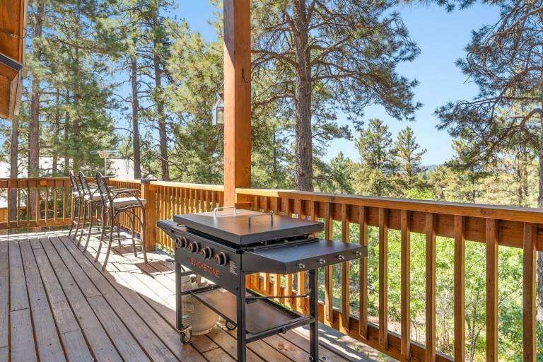 House Pagosa Springs