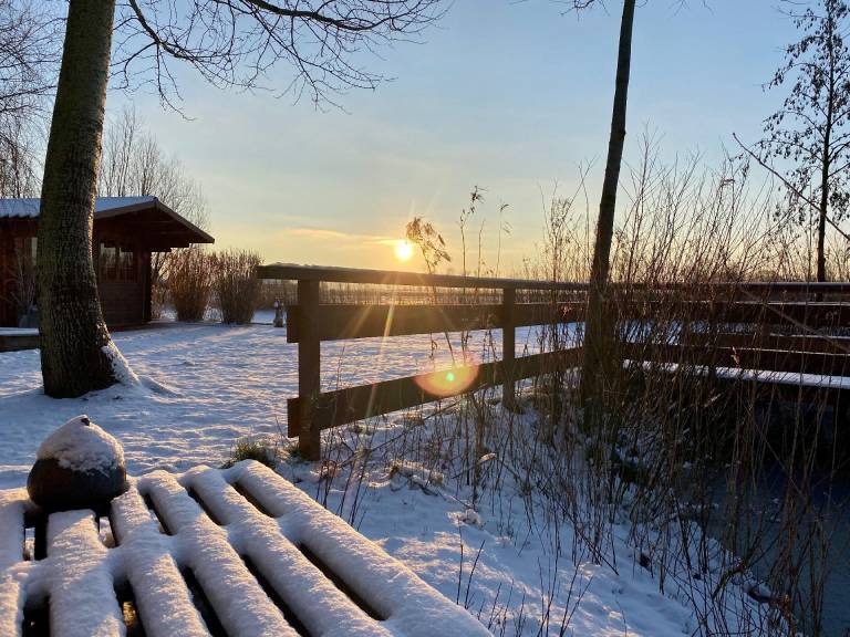 foto42