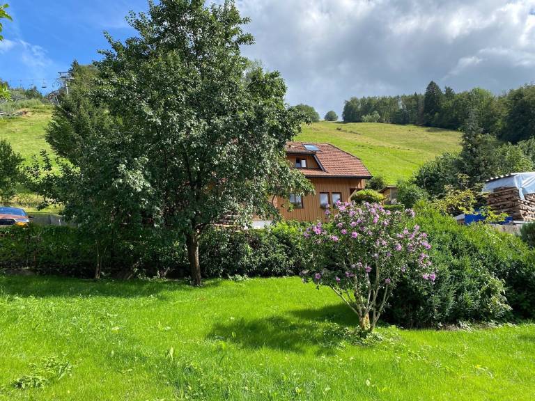 foto23