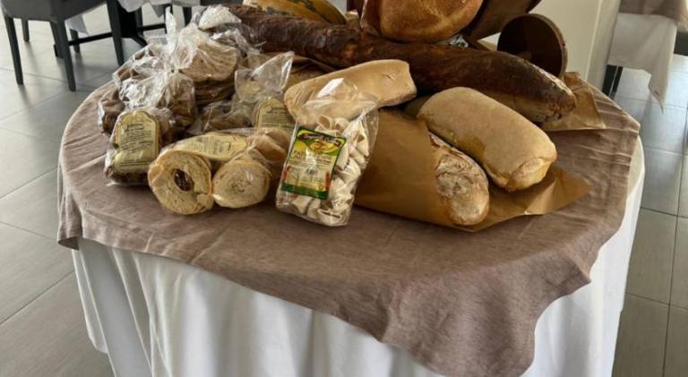 B&b Calabria mare — photo 4