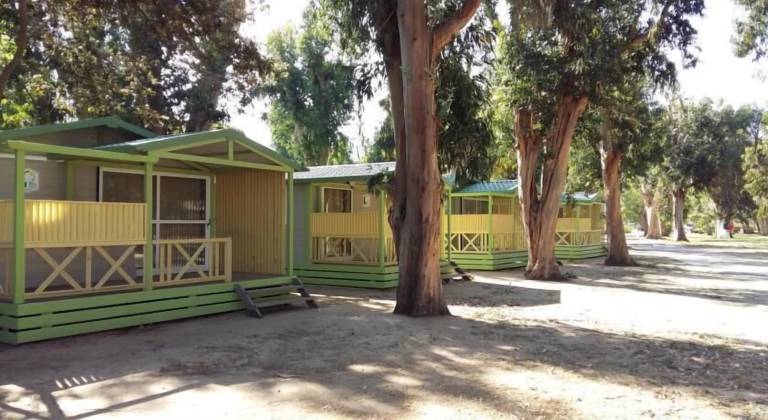 Camping Algajola