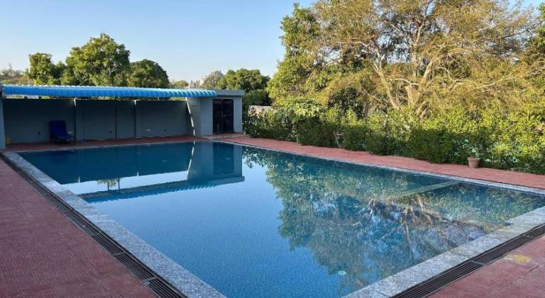 foto8