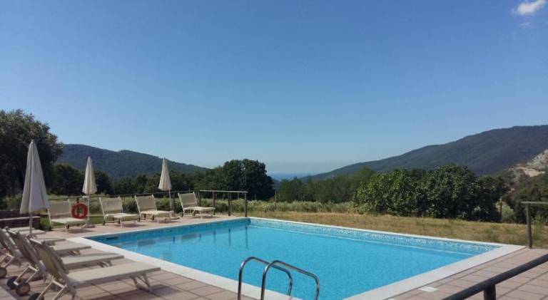 House with pool, garden & patio — photo 3
