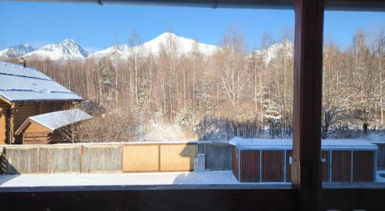 Rental apartment | Pet-friendly — photo 4