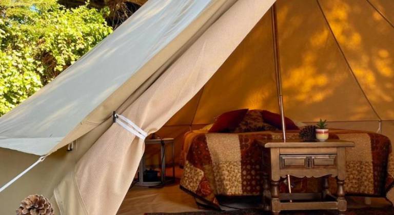 Glamping Spot - La Flotte en Re — photo 4