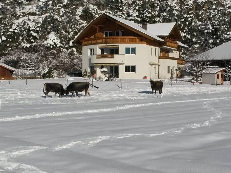 Ferienwohnung Gemeinde Arzl im Pitztal