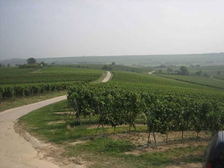 foto16