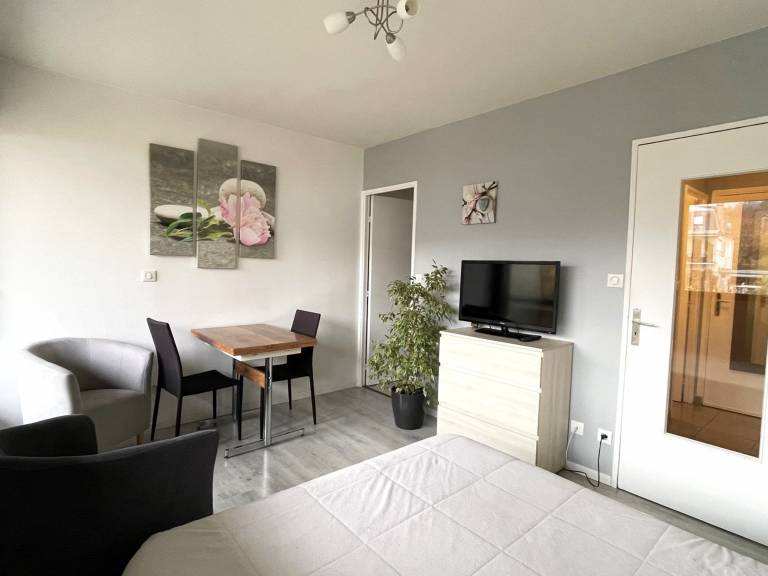 Quiet studio with parking and pets allowed in Aix-les-Bains — photo 2