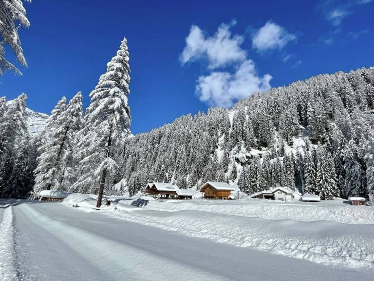 foto11