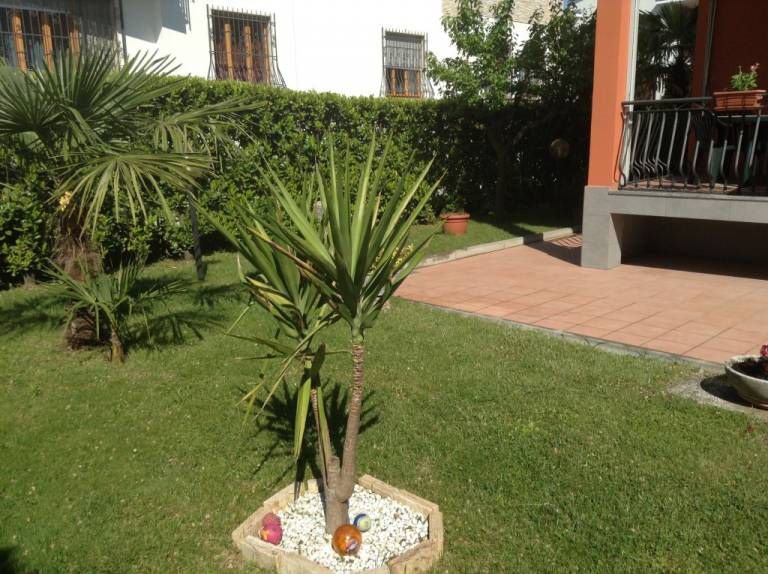 foto18