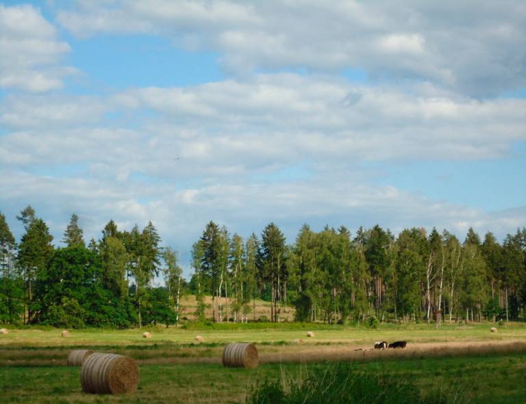 foto2