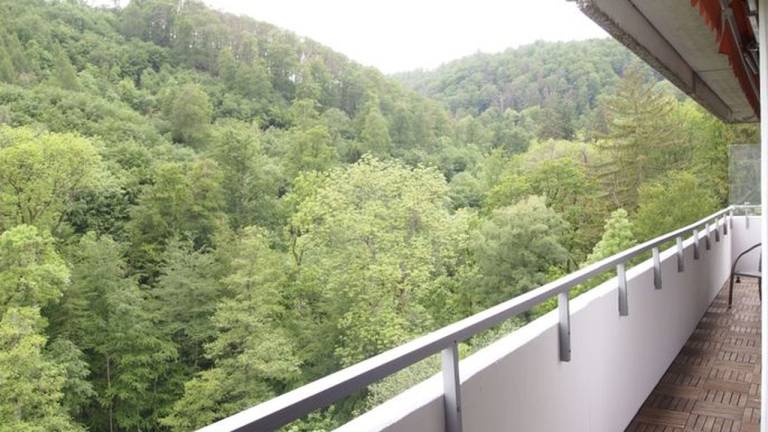 Ferienwohnung Bad Harzburg