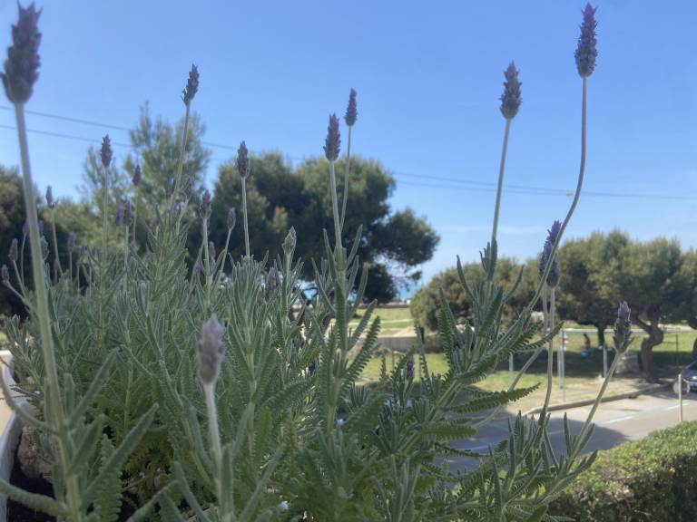 foto20