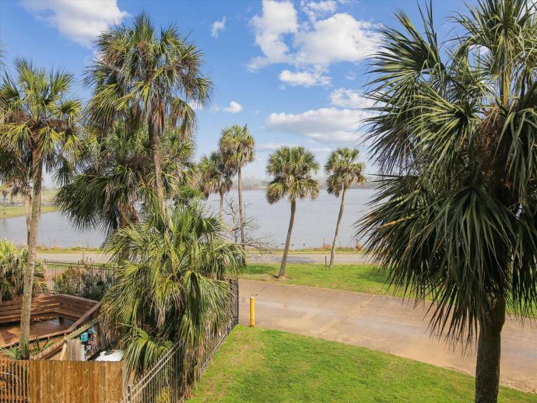 Apartment with barbecue & patio | Beach nearby | Good for workation | Dogs allowed in Galveston, TX